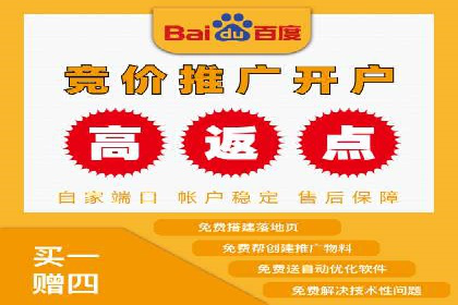 某电商平台的成功案例：信息流优化师的策略与成果